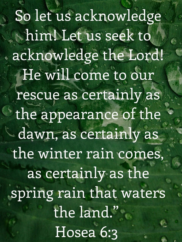 Hosea 6:3
