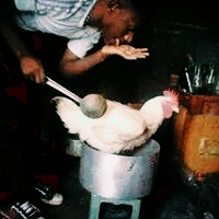 cook