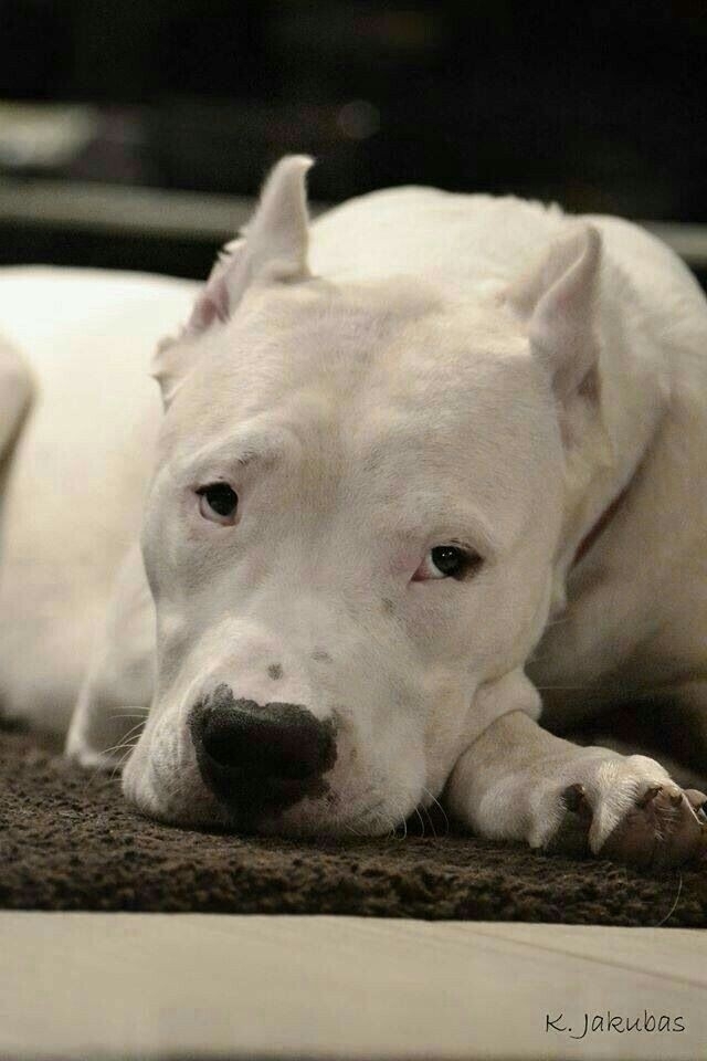 ♥️♥️♥️