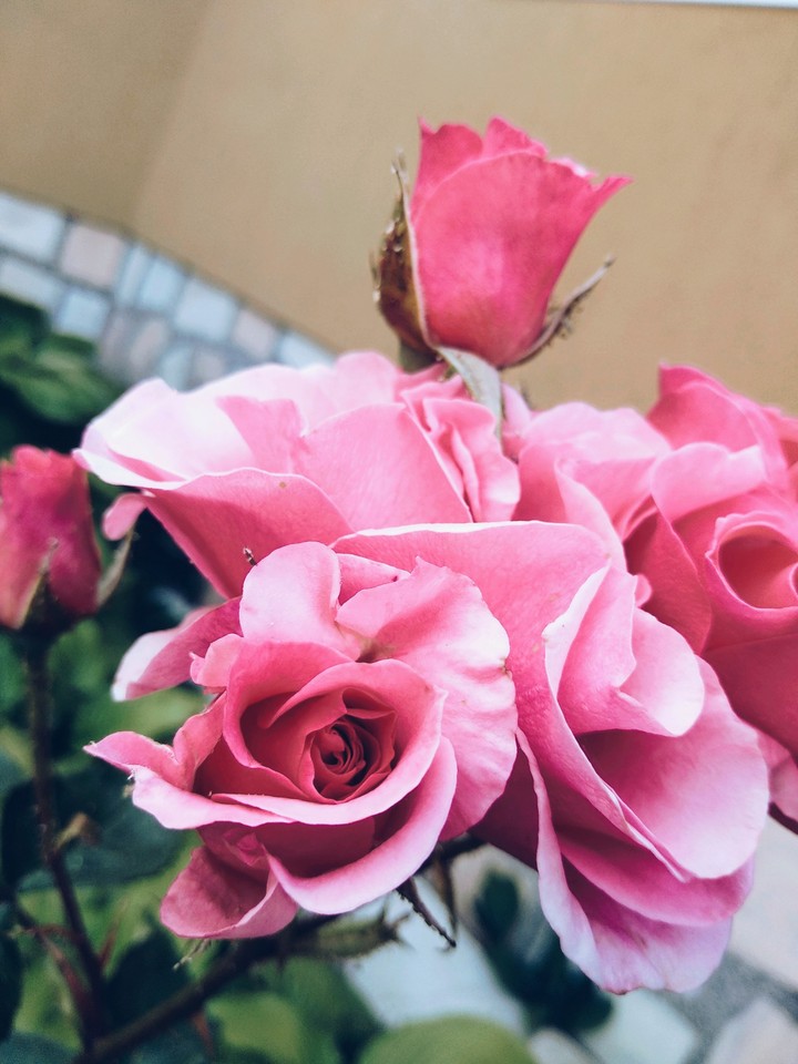 #beauty
