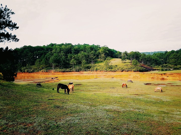 Da lat