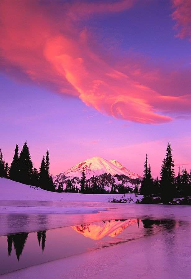 Mt. Rainer