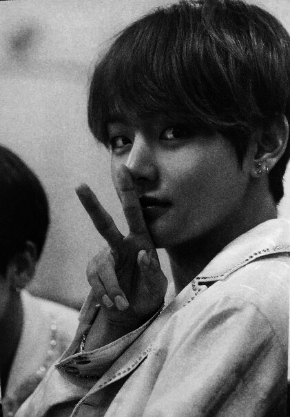 V- bts