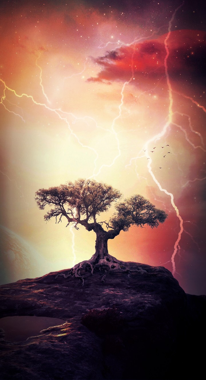 Lightning Tree
