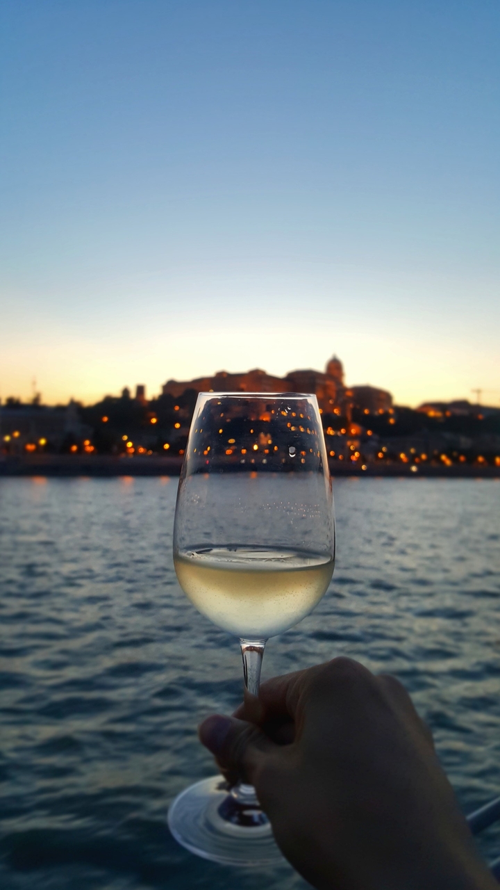A Glass of Wine in Budapest