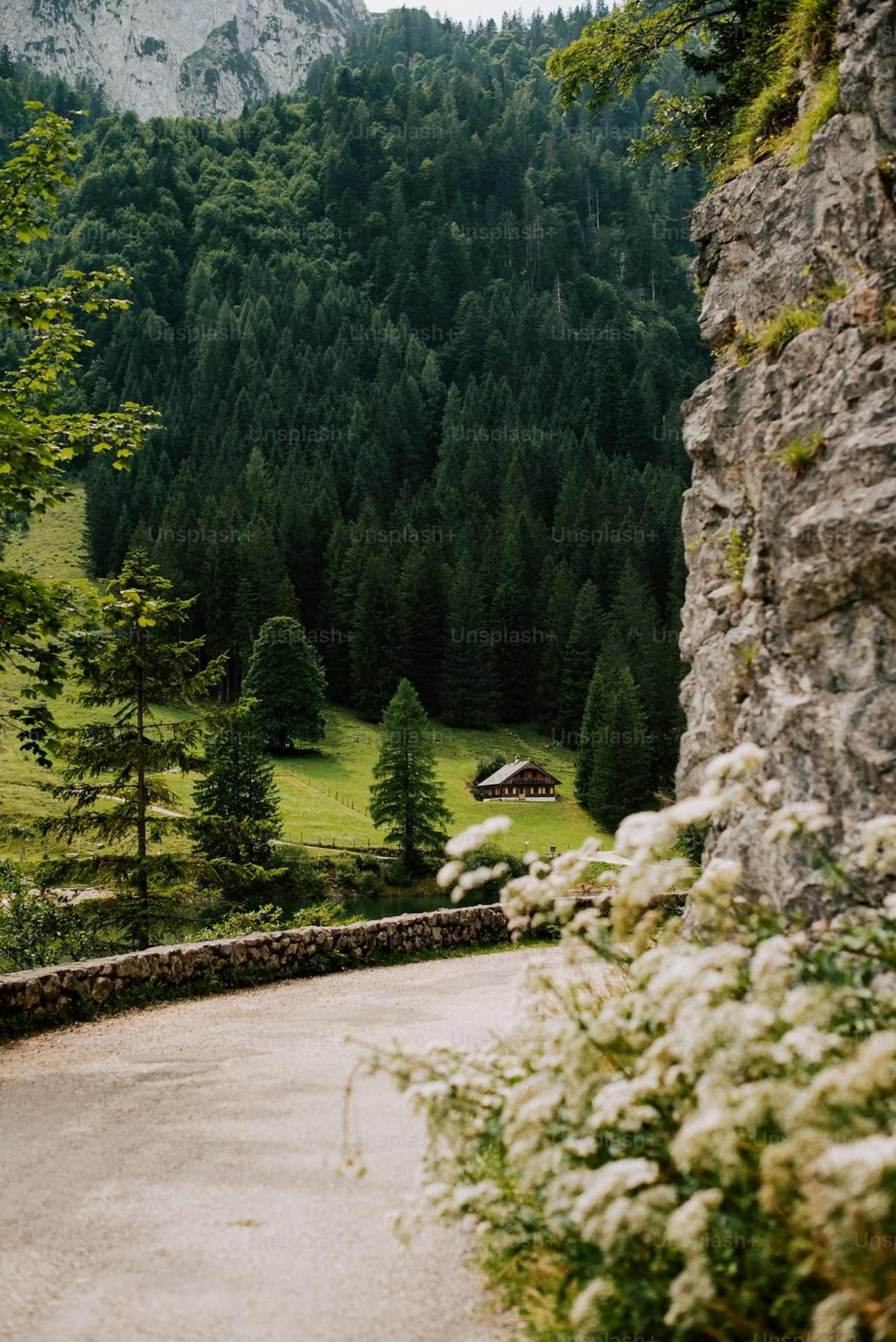 шпалери highland, landscapes