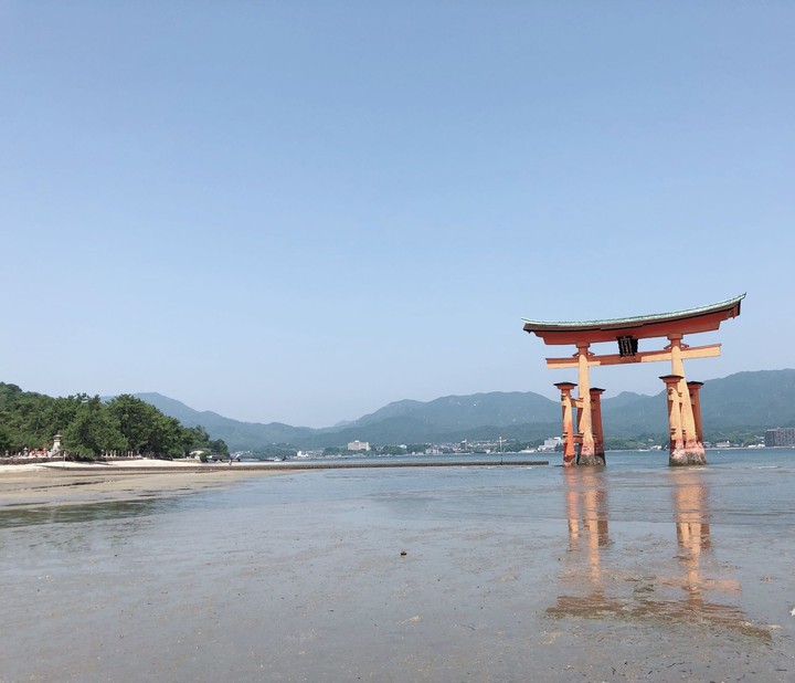 鳥居 / torii