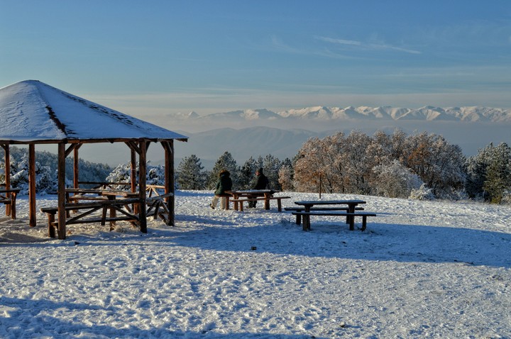 nature winter