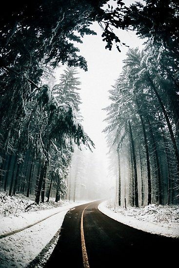 winter road