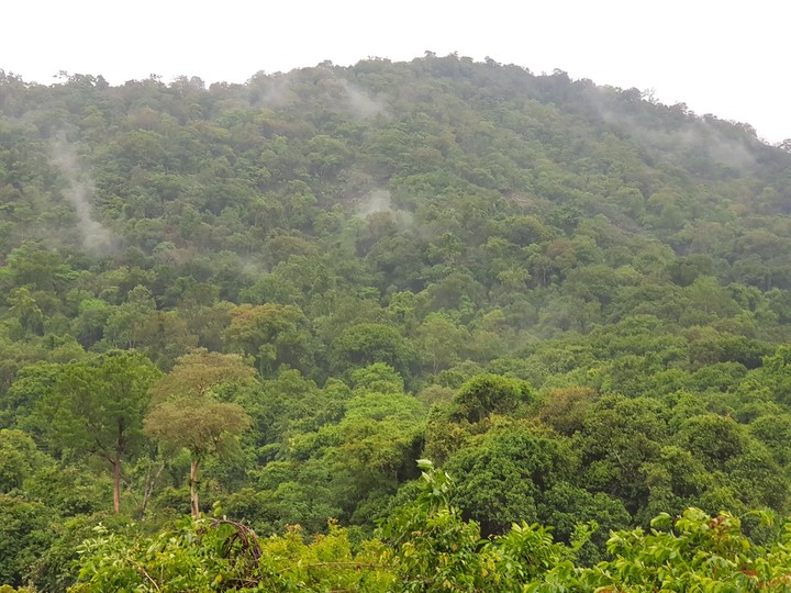 mountain