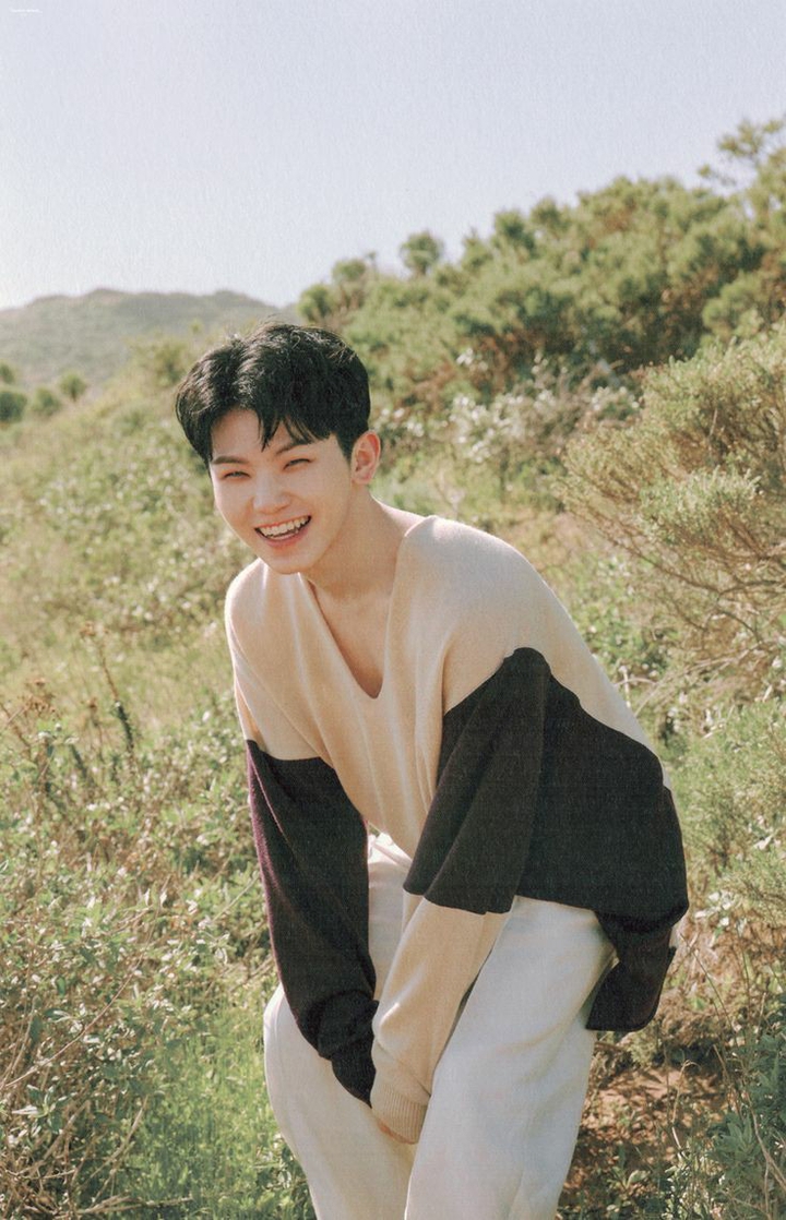 Woozi from Seventeen
