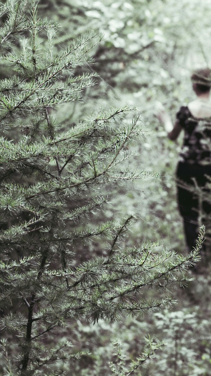 Загадки Леса