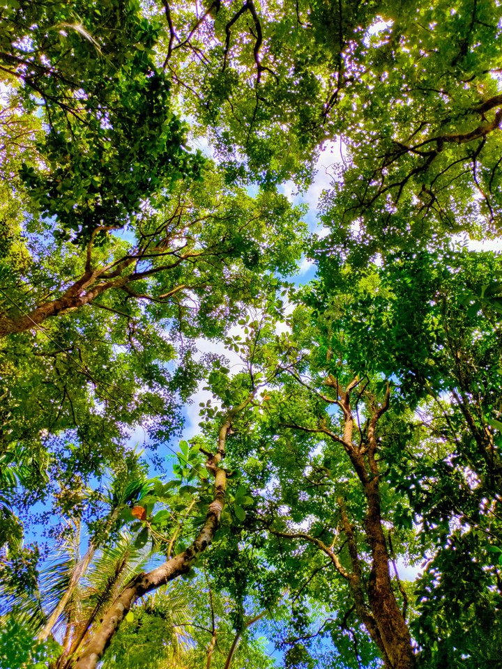 Mother Nature