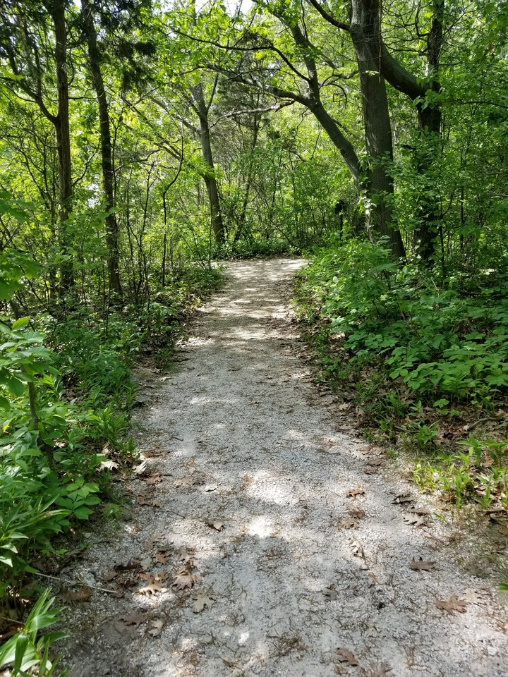Point Pelee, ON