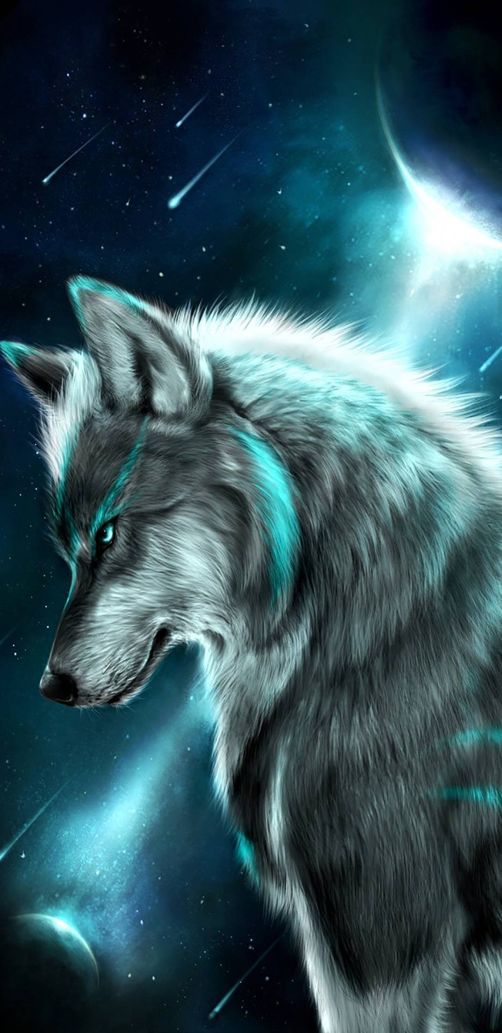 wolf
