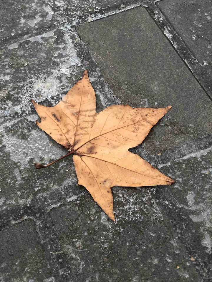 .