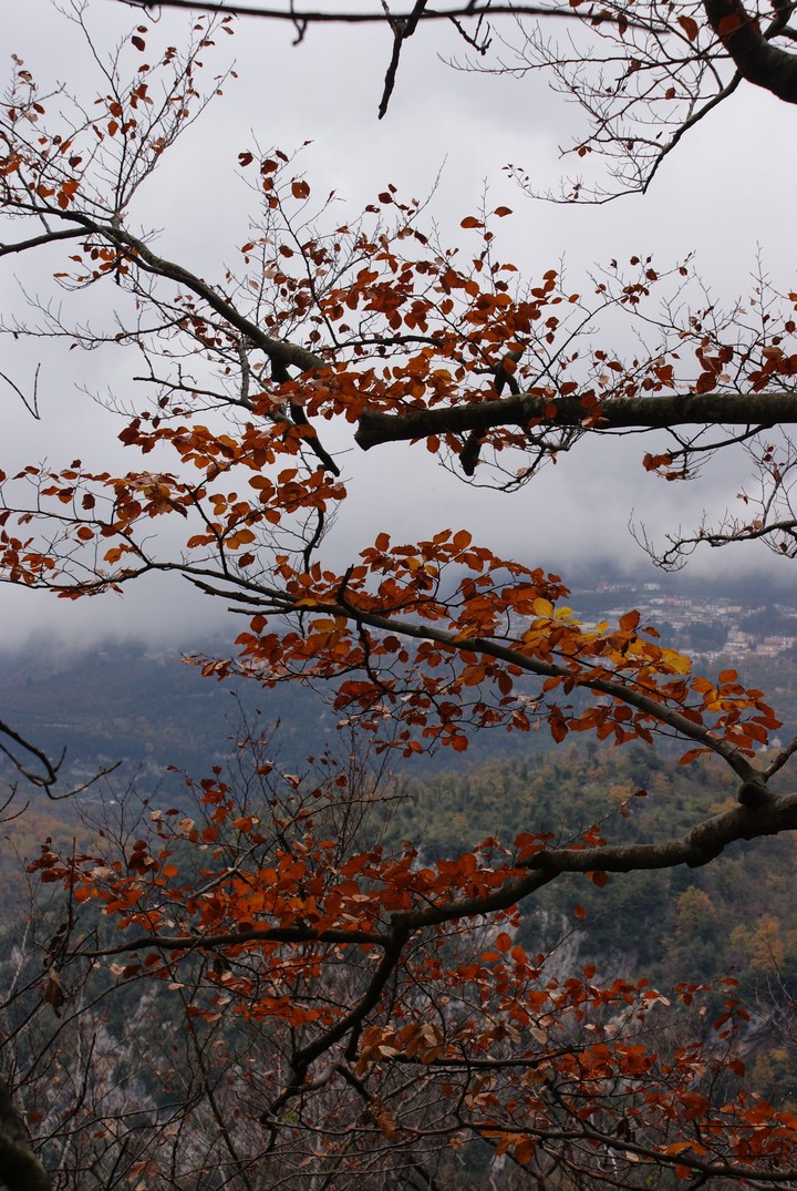 Autumn