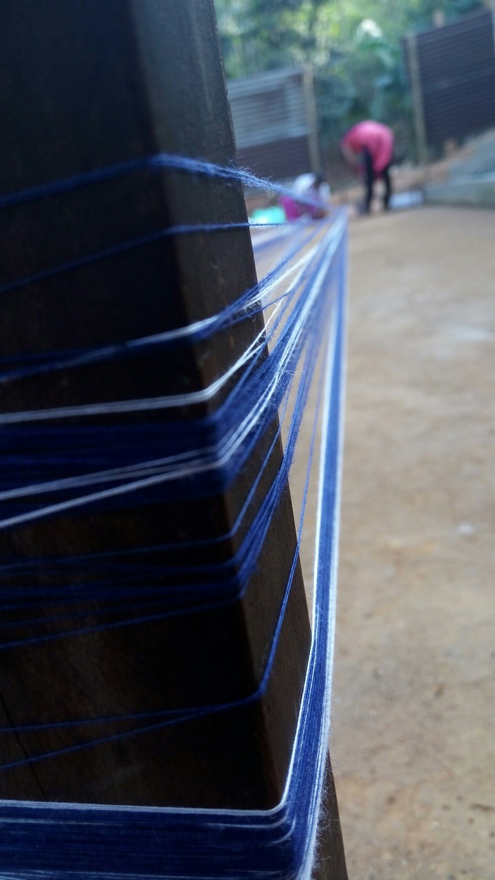 Assamese bo tola.