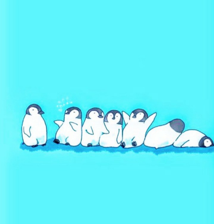 펭귄