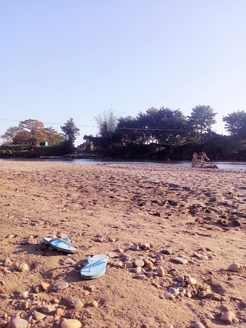 sfondi wood, horizon