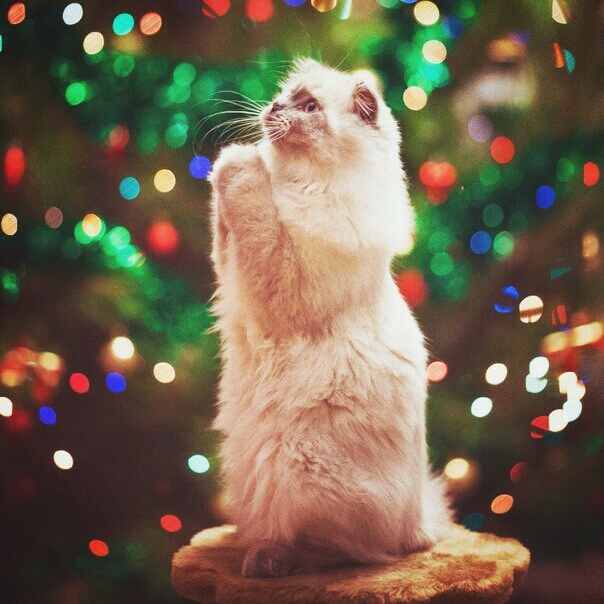 :3