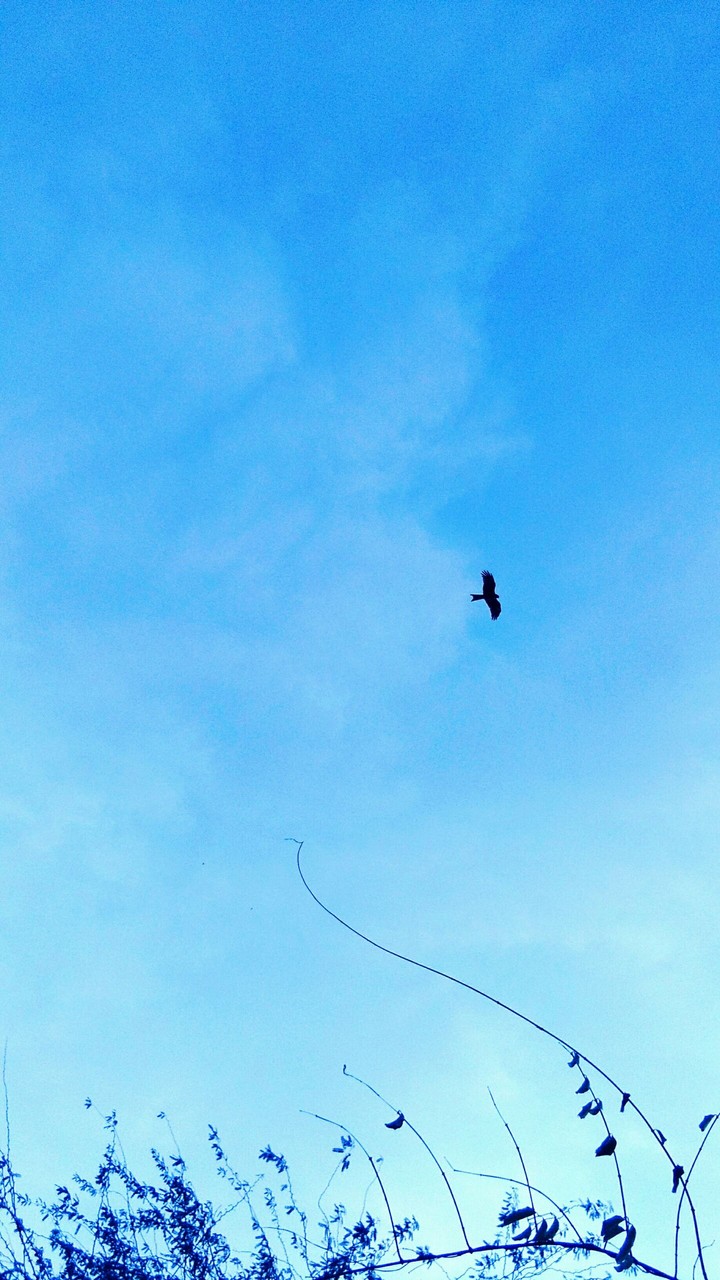 sky