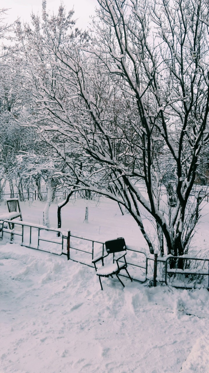 Winter
