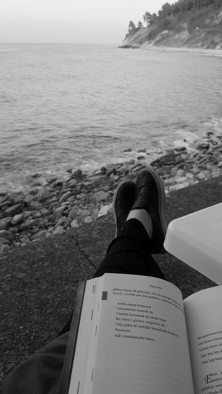 Book Days 