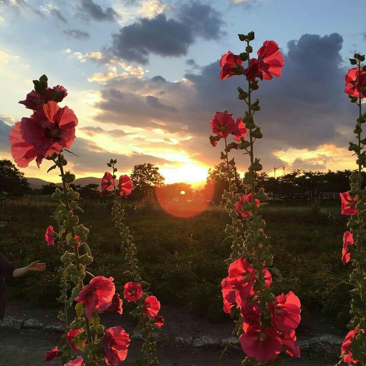 صباح الاشراقات