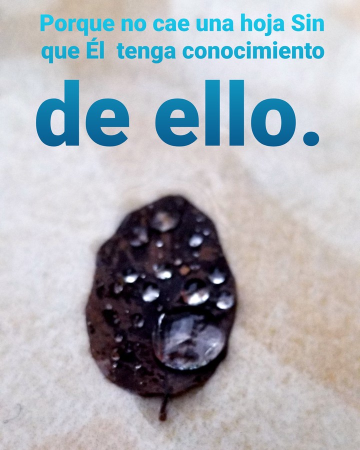 Lluvia