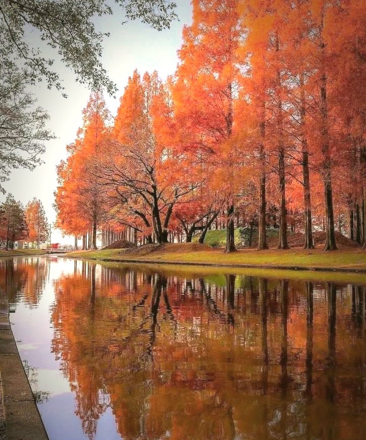 Осінь.