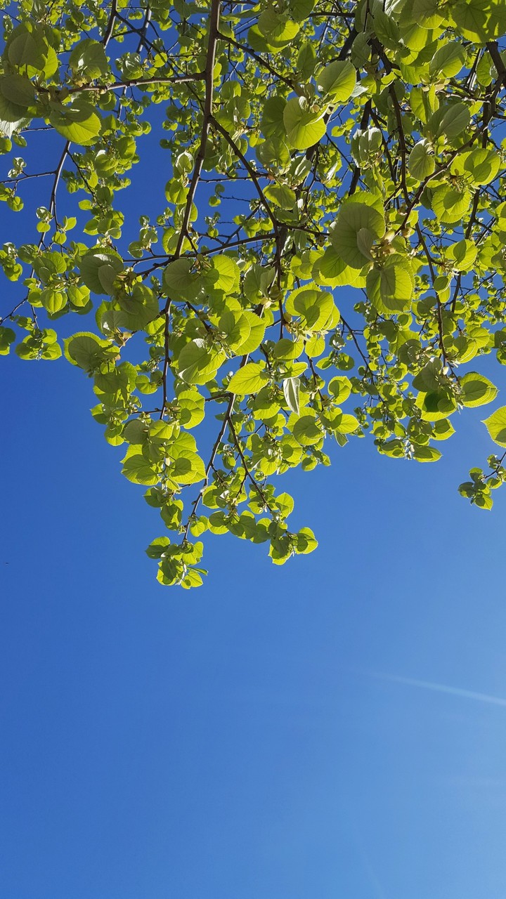 look up