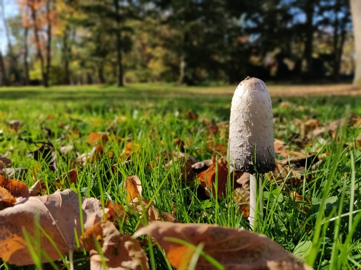 autumn is comming