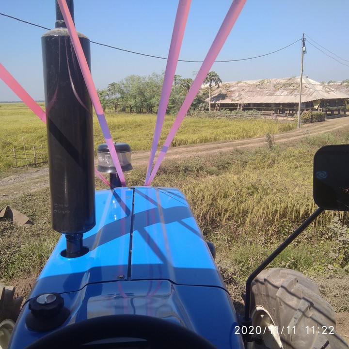 New Holland