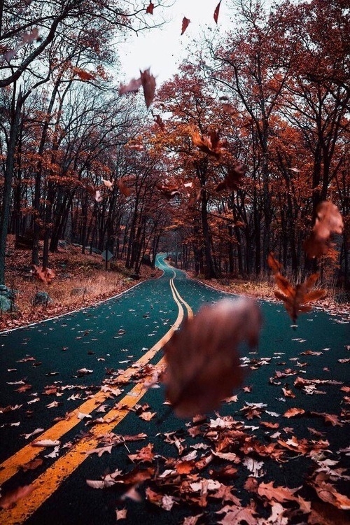 Road