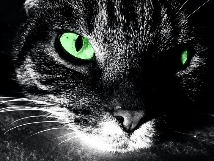 Green eyes