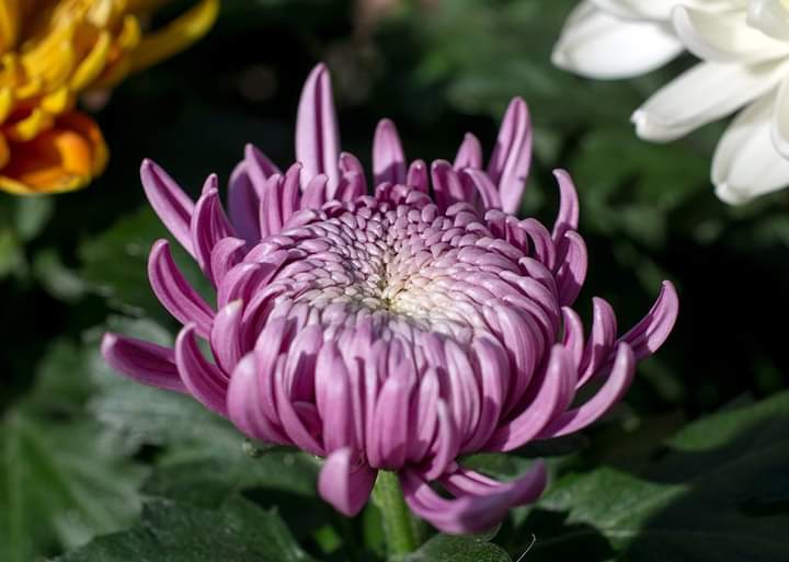 ღ✿◠‿◠✿ღ