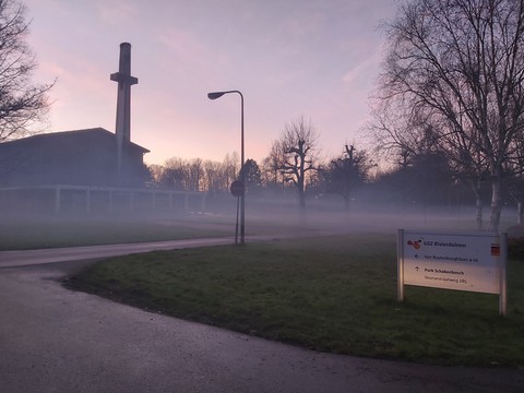 The asylum