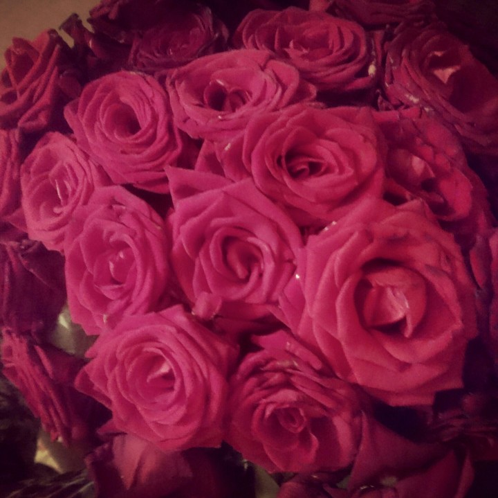 rose