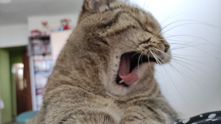 yawing