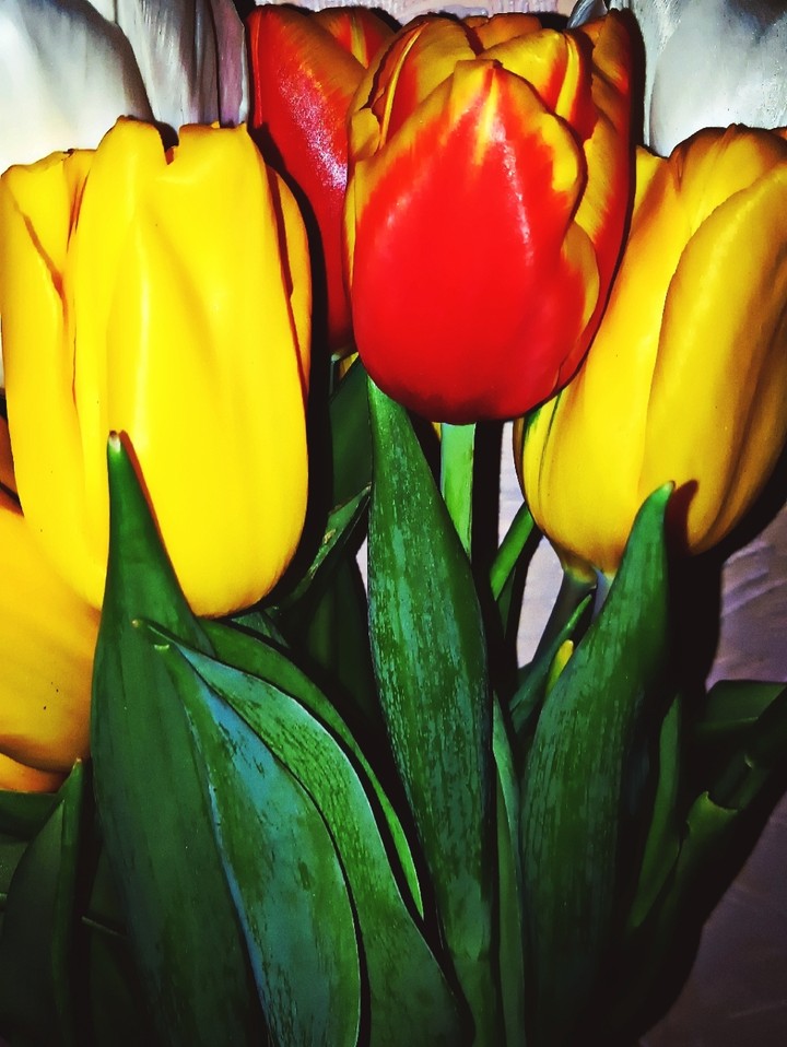 Spring flowers