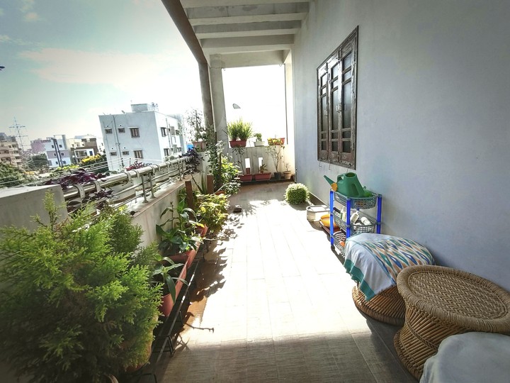 Balcony Garden