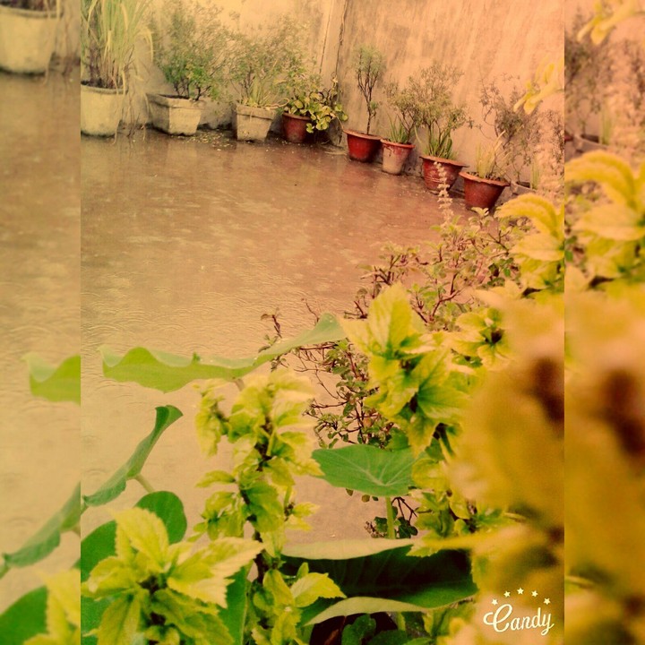 monsoon on rooftop