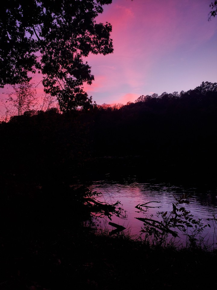 Pink Sunset