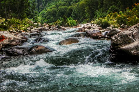 Some times for me it looks fake kashmir