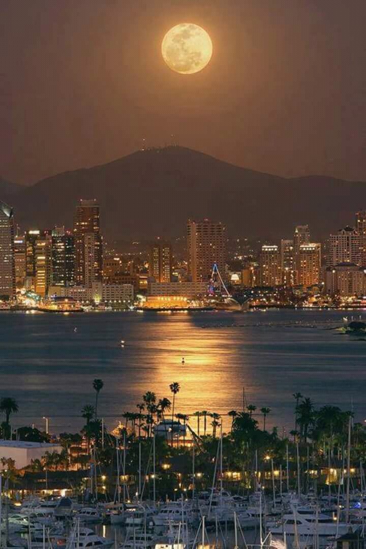 city