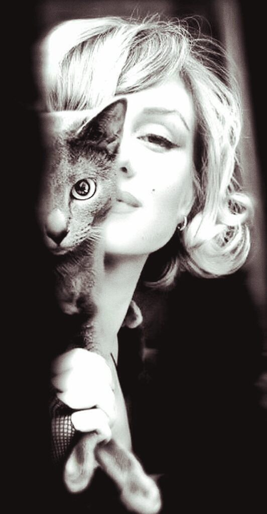 My Idol