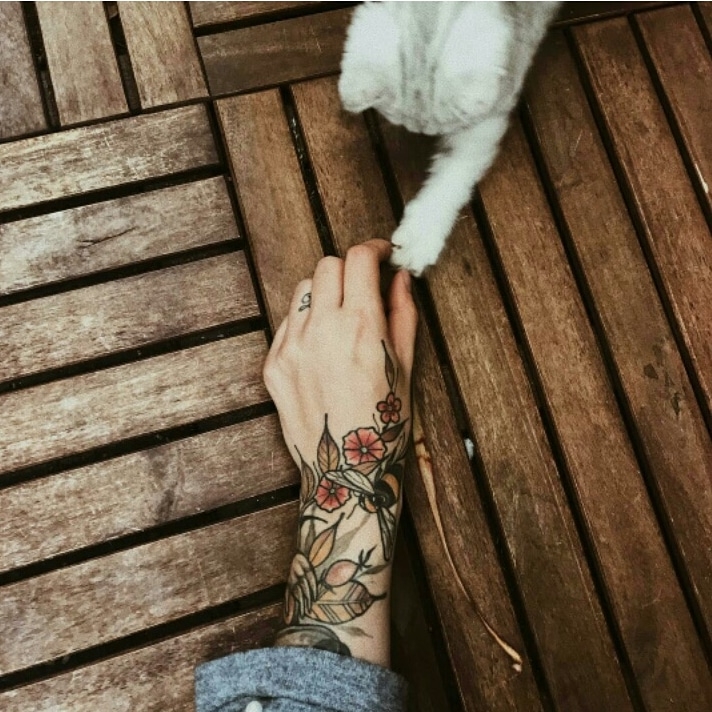cat
