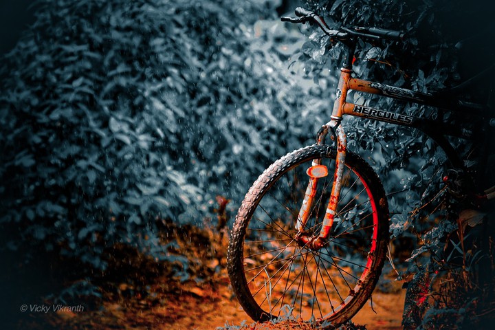 bicycle ?