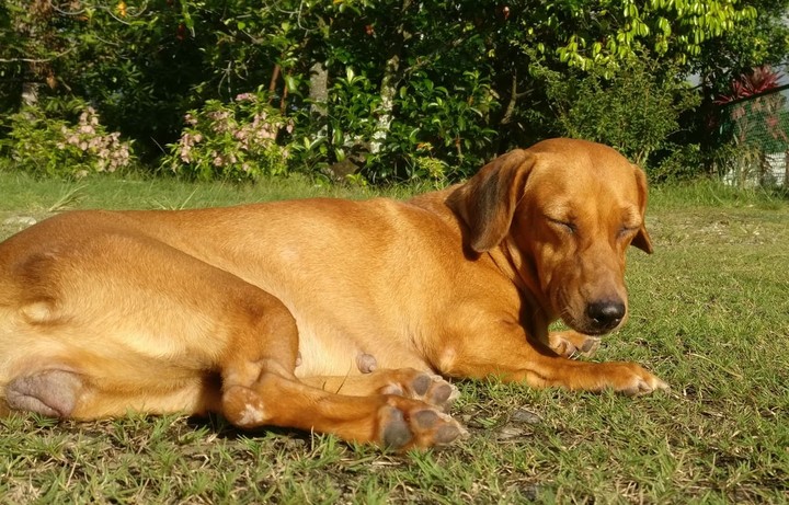 Sun bathing